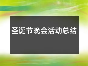 圣誕節(jié)晚會活動總結(jié)