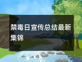 禁毒日宣傳總結最新集錦
