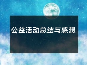公益活動(dòng)總結(jié)與感想