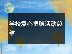 學(xué)校愛心捐贈活動總結(jié)