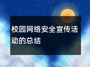 校園網絡安全宣傳活動的總結
