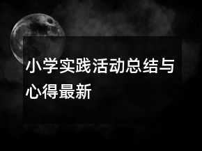 小學(xué)實(shí)踐活動(dòng)總結(jié)與心得最新