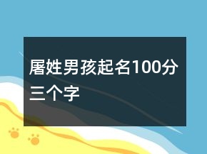 屠姓男孩起名100分三個字