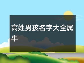 高姓男孩名字大全屬牛