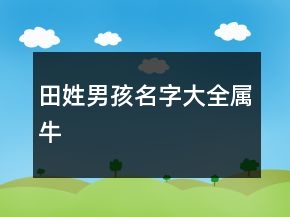 田姓男孩名字大全屬牛