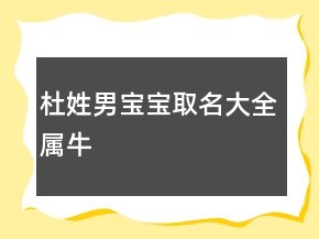 杜姓男寶寶取名大全屬牛