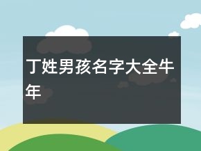 丁姓男孩名字大全牛年