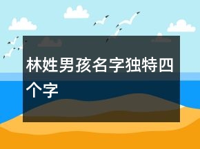 林姓男孩名字獨(dú)特四個字