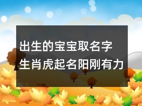 出生的寶寶取名字 生肖虎起名陽剛有力