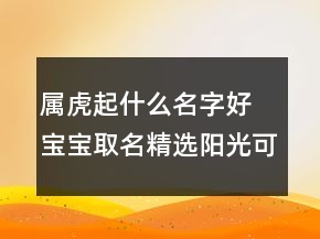 屬虎起什么名字好 寶寶取名精選陽(yáng)光可愛(ài)