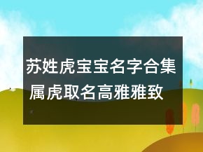 蘇姓虎寶寶名字合集 屬虎取名高雅雅致