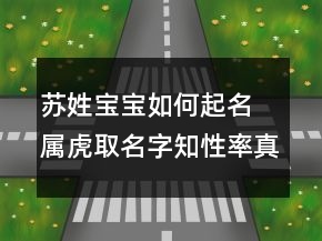 蘇姓寶寶如何起名 屬虎取名字知性率真
