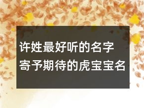 許姓最好聽的名字 寄予期待的虎寶寶名