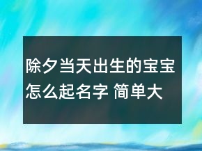 除夕當天出生的寶寶怎么起名字 簡單大氣取名法