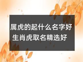 屬虎的起什么名字好 生肖虎取名精選好聽(tīng)順口