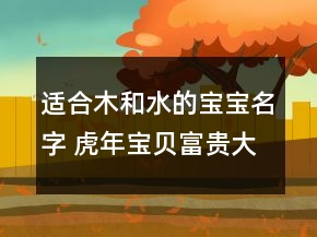 適合木和水的寶寶名字 虎年寶貝富貴大氣名字