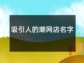 吸引人的潮網(wǎng)店名字