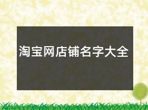 淘寶網(wǎng)店鋪名字大全