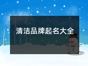 清潔品牌起名大全