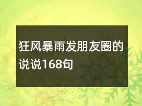 狂風(fēng)暴雨發(fā)朋友圈的說說168句
