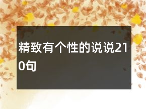 精致有個(gè)性的說說210句