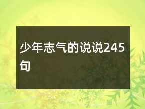 少年志氣的說說245句