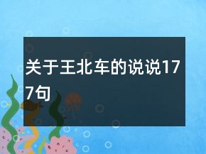 關(guān)于王北車的說說177句