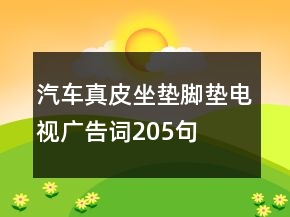 汽車真皮坐墊腳墊電視廣告詞205句