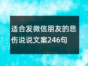 適合發(fā)微信朋友的悲傷說(shuō)說(shuō)文案246句