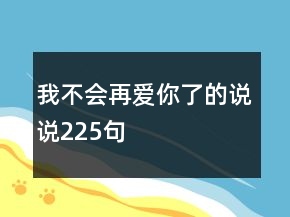 我不會再愛你了的說說225句