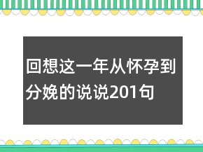 回想這一年從懷孕到分娩的說(shuō)說(shuō)201句