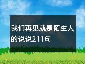 我們?cè)僖娋褪悄吧说恼f說211句