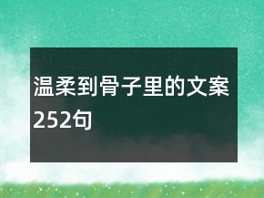 溫柔到骨子里的文案252句