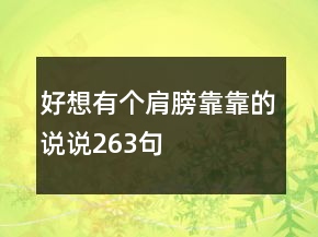 好想有個(gè)肩膀靠靠的說(shuō)說(shuō)263句