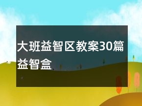 大班益智區(qū)教案30篇益智盒