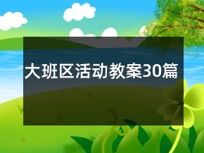 大班區(qū)活動(dòng)教案30篇