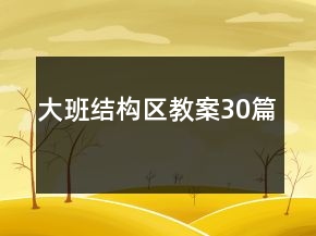 大班結構區(qū)教案30篇