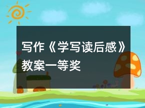 寫作《學(xué)寫讀后感》教案一等獎