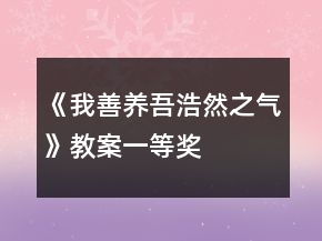 《我善養(yǎng)吾浩然之氣》教案一等獎(jiǎng)