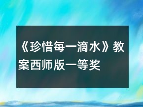 《珍惜每一滴水》教案西師版一等獎