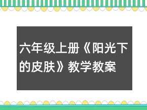 六年級(jí)上冊(cè)《陽(yáng)光下的皮膚》教學(xué)教案一等獎(jiǎng)