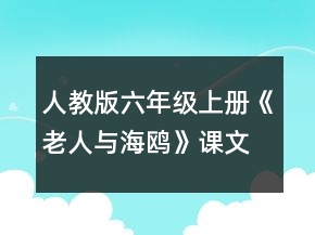 人教版六年級上冊《老人與海鷗》課文教案一等獎