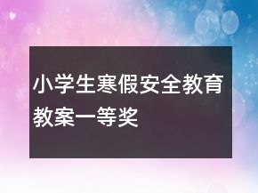 小學(xué)生寒假安全教育教案一等獎