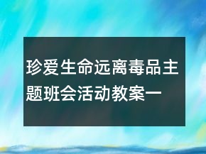 珍愛生命遠離毒品主題班會活動教案一等獎