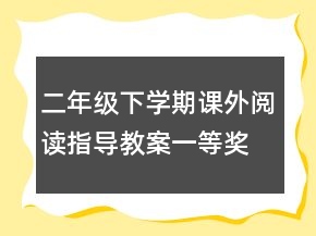 二年級下學期課外閱讀指導教案一等獎