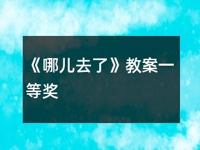 《哪兒去了》教案一等獎