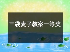 三袋麥子教案一等獎(jiǎng)