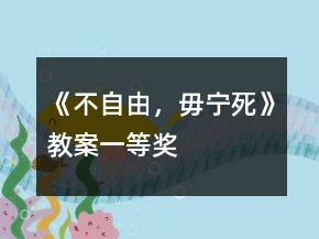 《不自由，毋寧死》教案一等獎