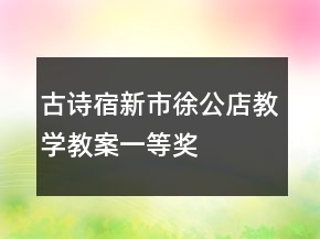 古詩(shī)：宿新市徐公店教學(xué)教案一等獎(jiǎng)