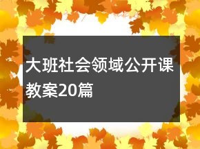 大班社會(huì)領(lǐng)域公開(kāi)課教案20篇
